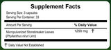 Stonebreaker | Chancapiedra | 100 Capsules