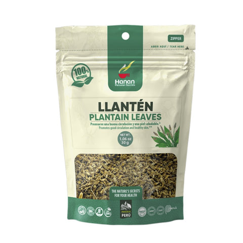 Llanten | Plantain Loose Leaf Tea | 1.06oz (30g)