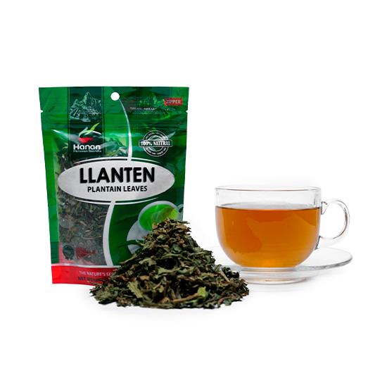 Llanten | Plantain Loose Leaf Tea | 1.06oz (30g)