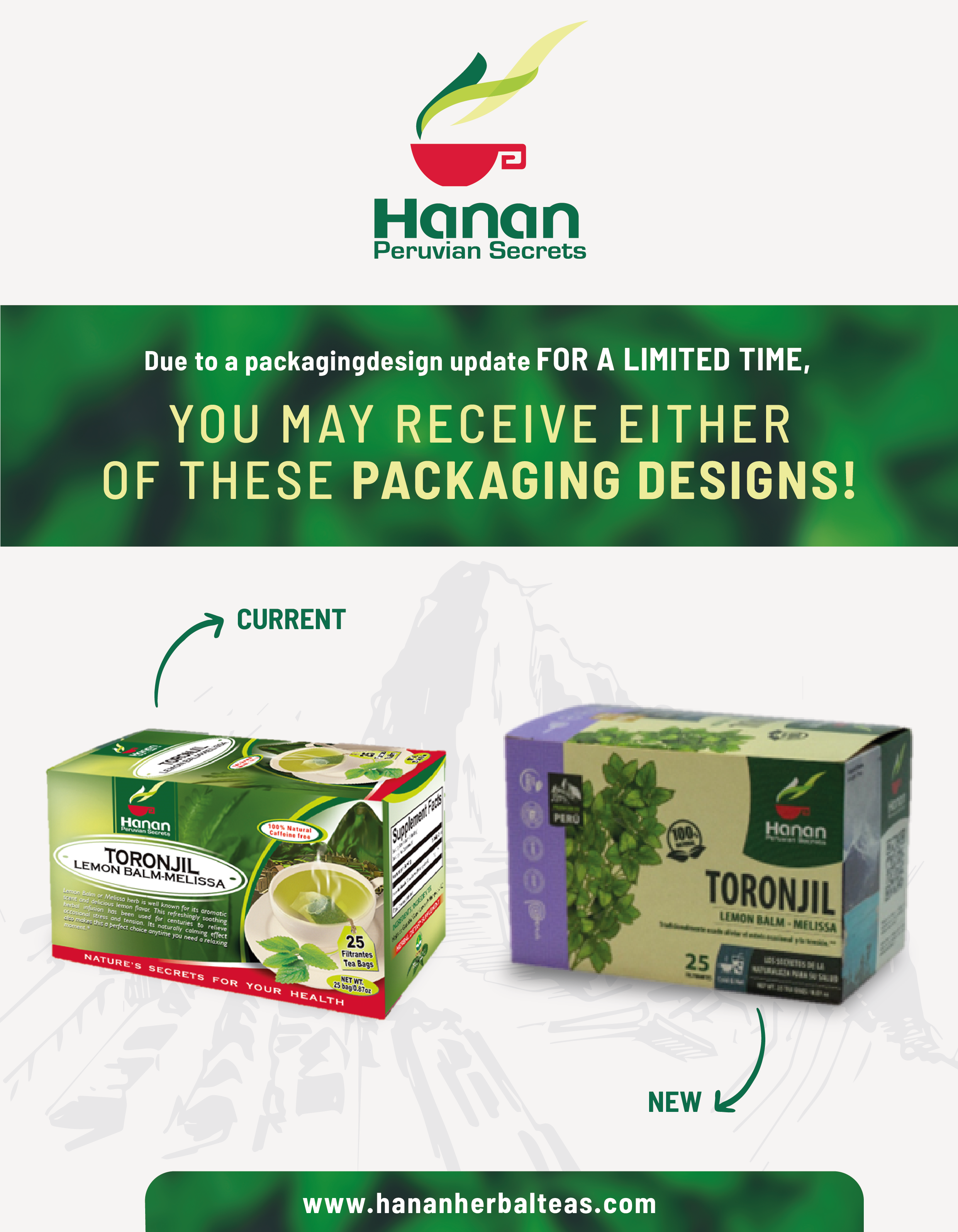 Lemon Balm - Melissa Herbal Tea | Toronjil | 25 Teabags