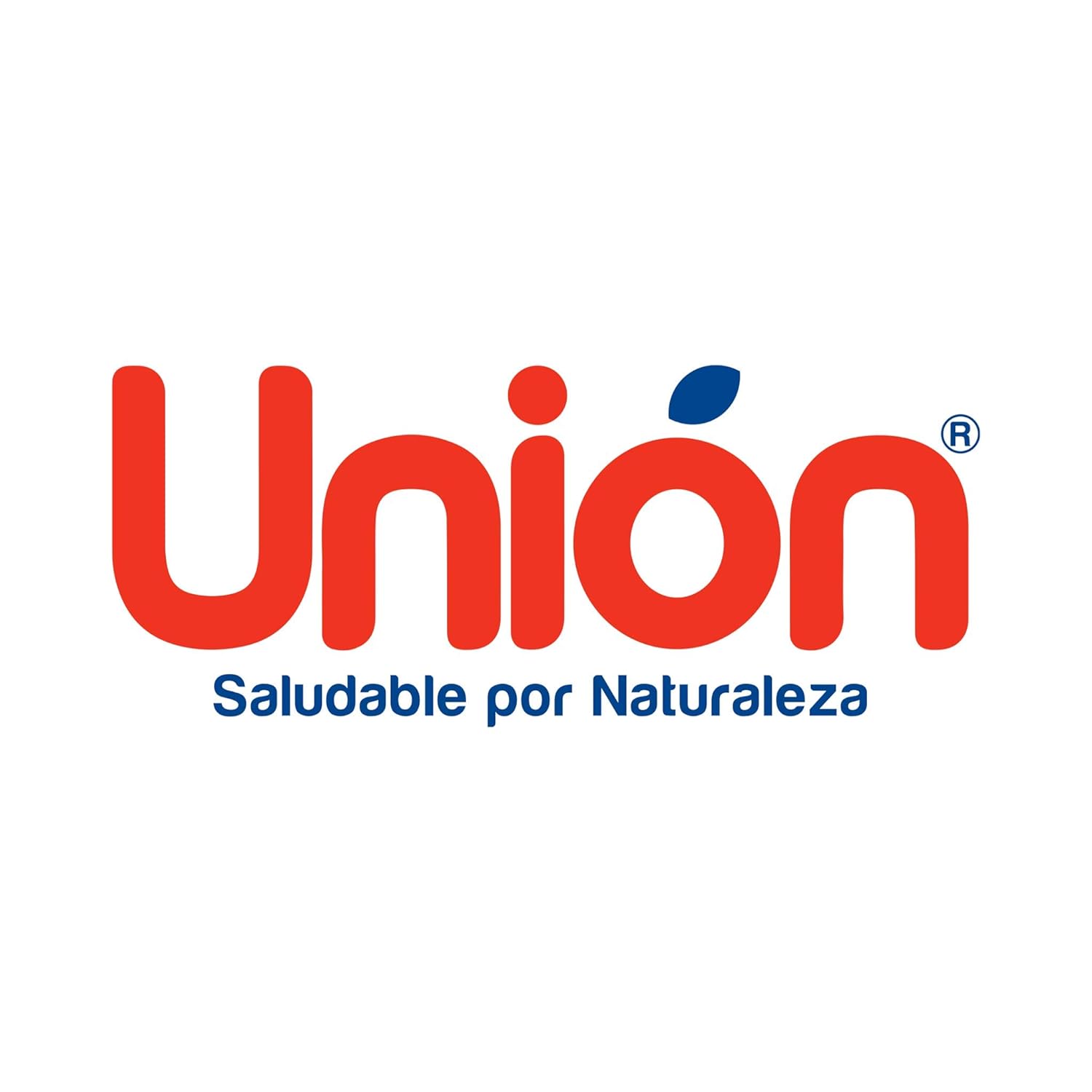 Paneton Union | Healthy Gourmet Peruvian Panettone | Christmas Fruit Cake with Super Food Curcumin, Raisins & Candied Fruits | 2 Lbs (900 g)